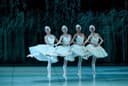 Балет П.И. Чайковского «Лебединое озеро»