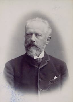 Пётр Ильич Чайковский. Фотография Эмиля Ройтлингера, 1888