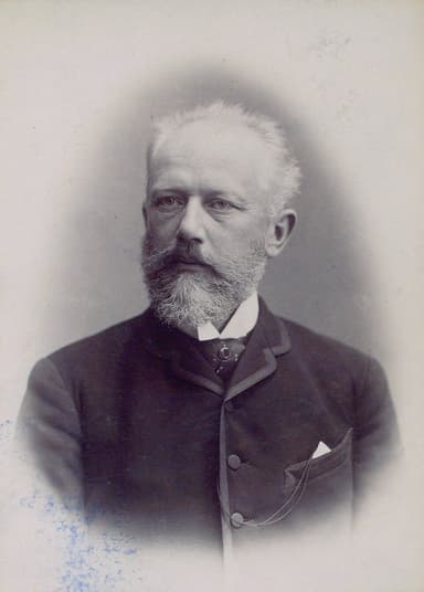 Пётр Ильич Чайковский. Фотография Эмиля Ройтлингера, 1888