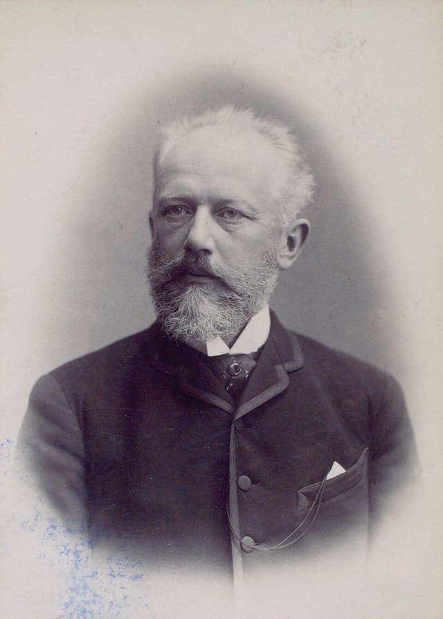 Пётр Ильич Чайковский. Фотография Эмиля Ройтлингера, 1888